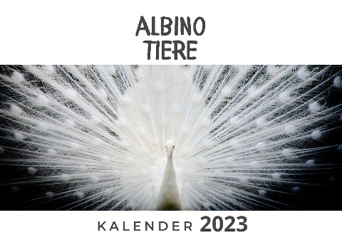 Albino-Tiere - Bibi Hübsch