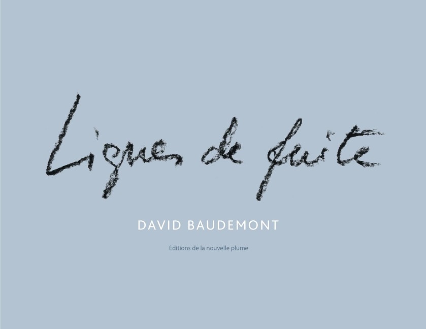 Lignes de fuite - David Baudemont