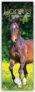 Cover-Bild zum Titel 'Horses - Pferde 2026 - Slimline-Kalender' von 'Carousel Calendar'