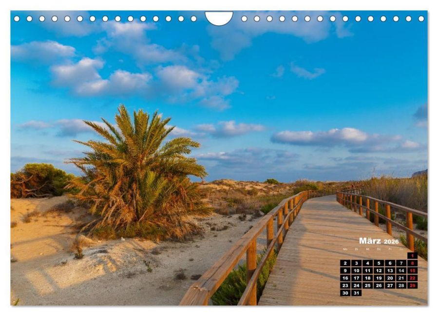 InsideView 8