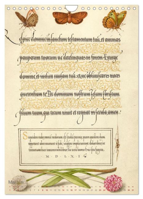 InsideView 10