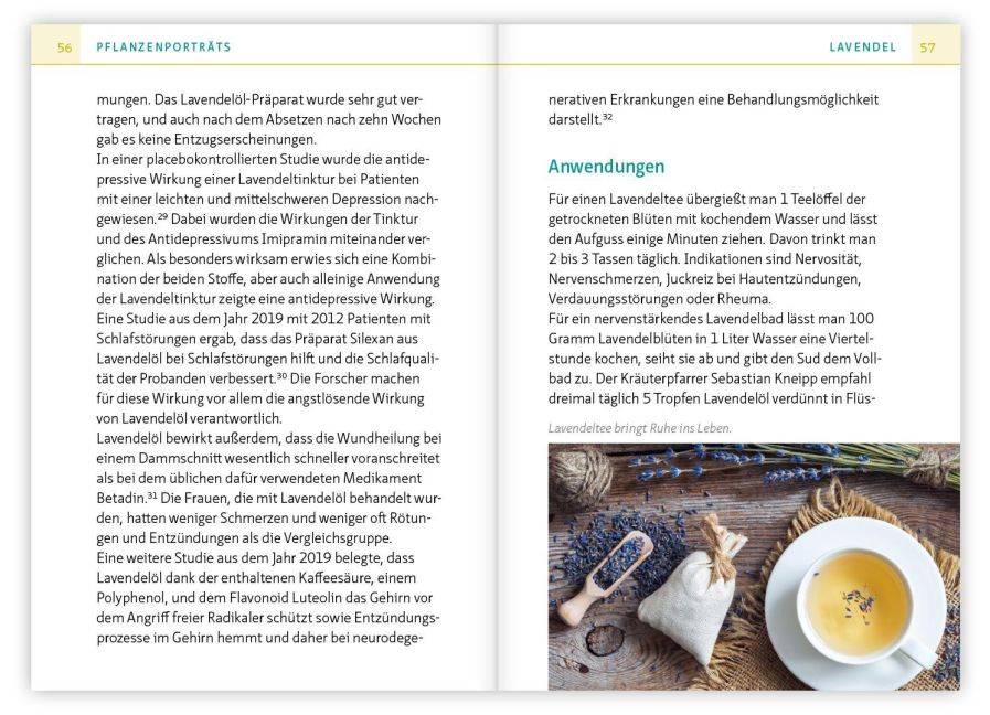 InsideView 4