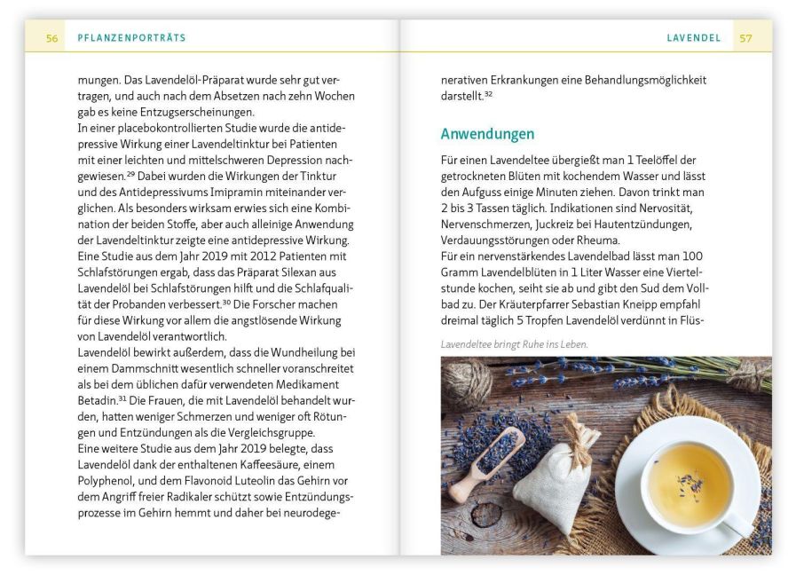 InsideView 4