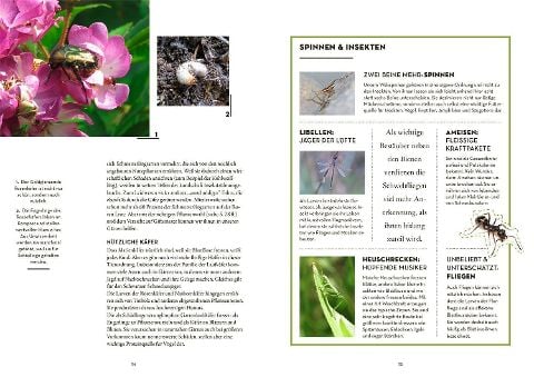 InsideView 3