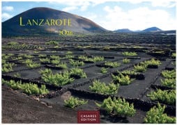 Lanzarote 2026 L 35x50cm - 