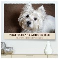 WEST HIGHLAND WHITE TERRIER - DER WESTIE - EIN HUND MIT CHARISMA (hochwertiger Premium Wandkalender 2025 DIN A2 quer), Kunstdruck in Hochglanz - Angela Rohde