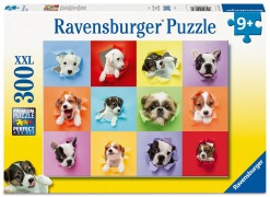 Cover-Bild zum Titel 'Kinderpuzzle 300 XXL Teile - Welpen-Pop-Out' von ''