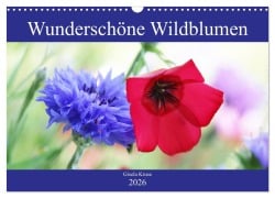 Wunderschöne Wildblumen (Wandkalender 2026 DIN A3 quer), CALVENDO Monatskalender - Gisela Kruse
