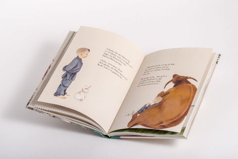 InsideView 11