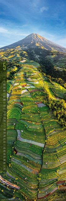 InsideView 5
