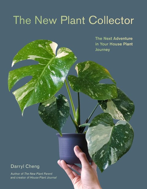 New Plant Collector - Darryl Cheng