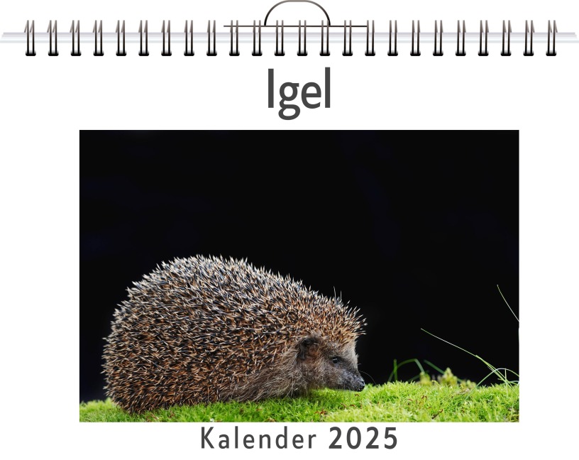 Igel - (Wandkalender 2025, Kalender DIN A4 quer, Monatskalender im Querformat mit Kalendarium, das perfekte Geschenk) - Emily Herrmann