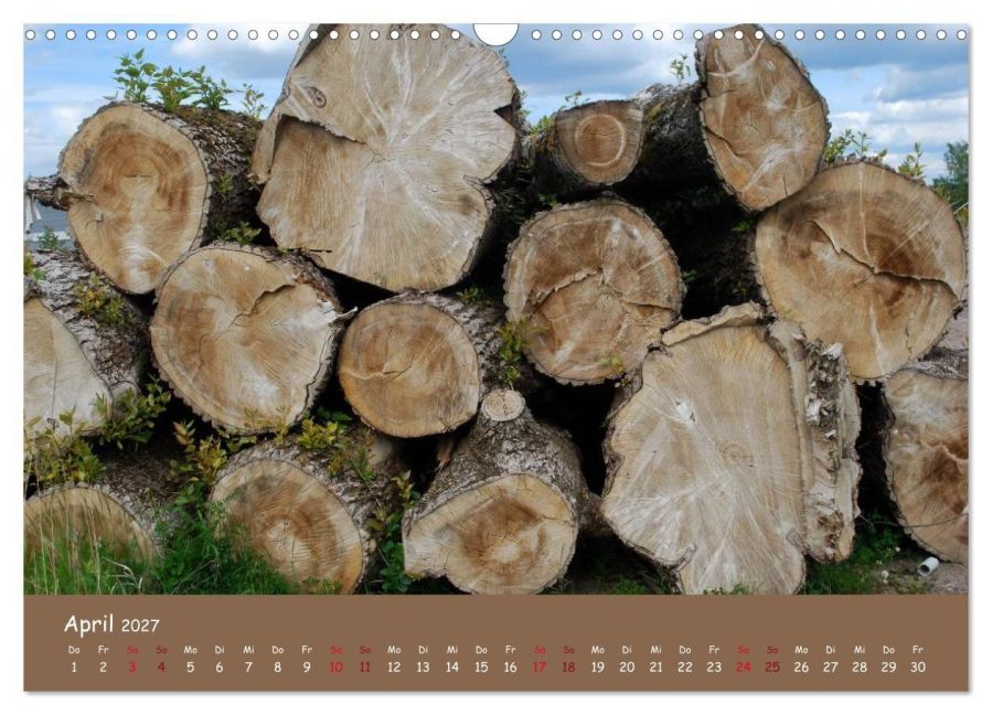 InsideView 9