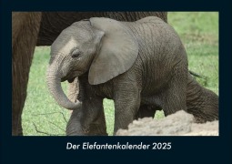 Cover-Bild zum Titel 'Der Elefantenkalender 2025 Fotokalender DIN A4' von 'Tobias Becker'