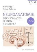 Cover-Bild zum Titel 'Neuroanatomie' von 'Markus Kipp, Kalinka Radlanski'