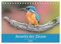 Cover-Bild zum Titel 'Jenseits der Zäune (Tischkalender 2026 DIN A5 quer), CALVENDO Monatskalender' von 'Jennifer Hetzel'