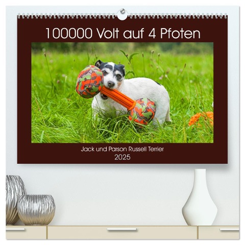 100000 Volt auf vier Pfoten - Jack und Parson Russell Terrier (hochwertiger Premium Wandkalender 2025 DIN A2 quer), Kunstdruck in Hochglanz - Sigrid Starick