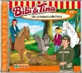 Cover-Bild zum Titel 'Folge 72:Der Geheimnisvolle Falke' von 'Bibi & Tina'