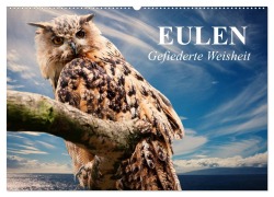 Cover-Bild zum Titel 'Eulen. Gefiederte Weisheit (Wandkalender 2026 DIN A2 quer), CALVENDO Monatskalender' von 'Elisabeth Stanzer'