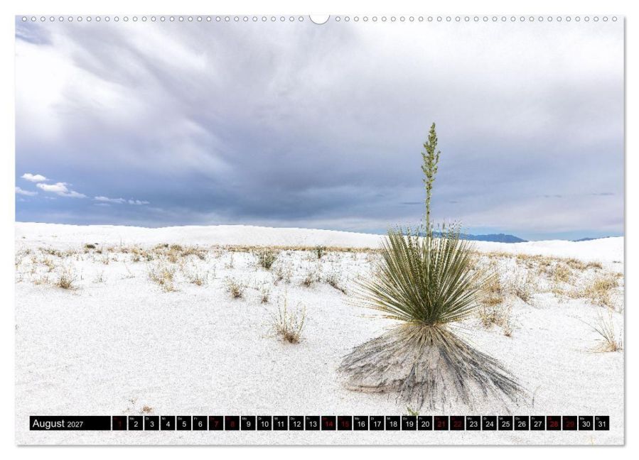InsideView 13