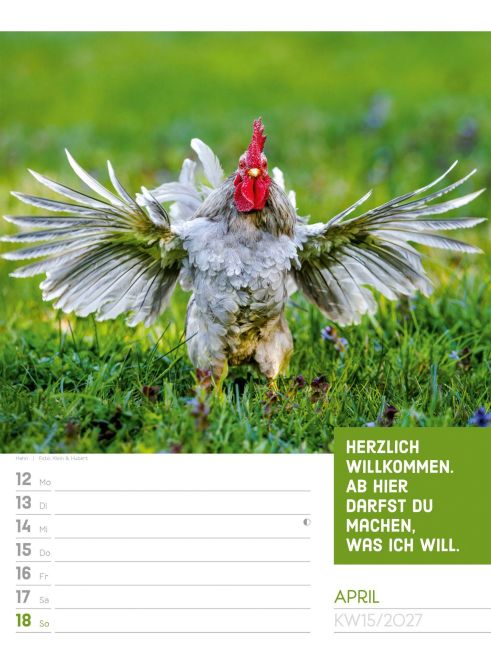 InsideView 19