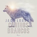 Cover-Bild zum Titel 'Caninos Brancos' von 'Jack London'