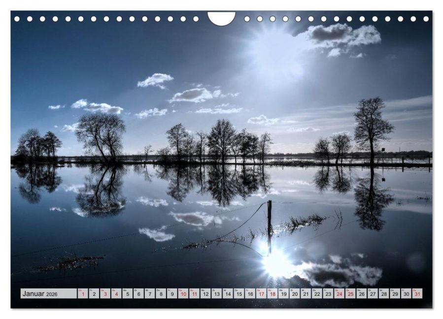 InsideView 6