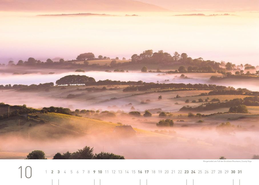 InsideView 10