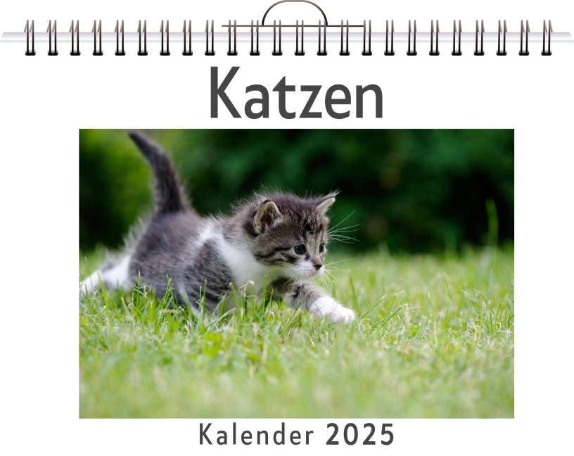 Katzen - (Wandkalender 2025, Kalender DIN A4 quer, Monatskalender im Querformat mit Kalendarium, das perfekte Geschenk) - Olivia Münch