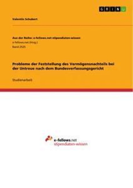 Probleme der Feststellung des Vermögensnachteils bei der Untreue nach dem Bundesverfassungsgericht - Valentin Schubert