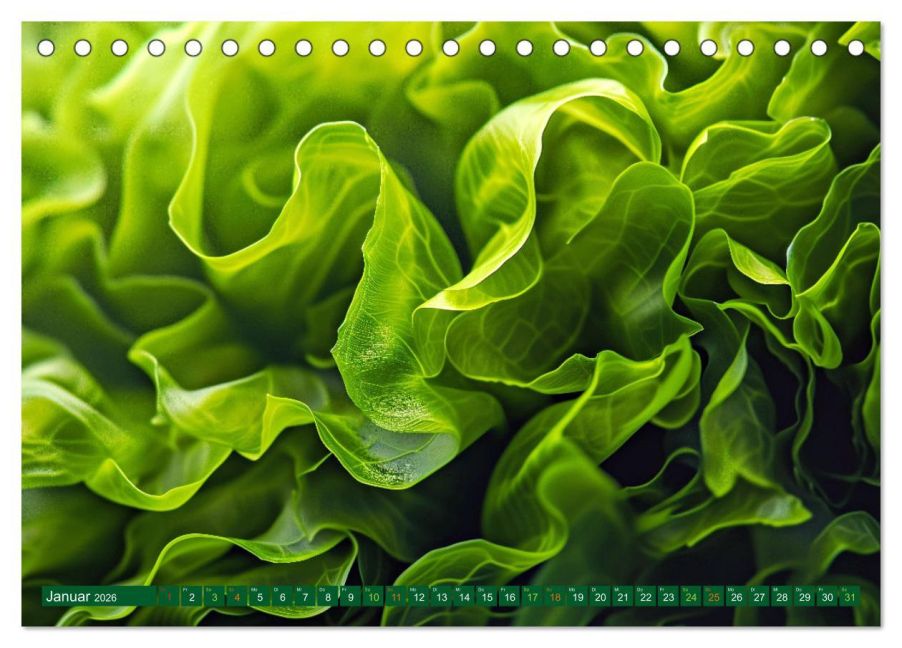 InsideView 6