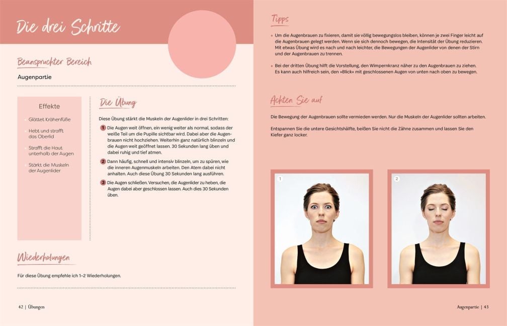 InsideView 5