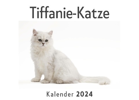 Tiffanie-Katze (Wandkalender 2024, Kalender DIN A4 quer, Monatskalender im Querformat mit Kalendarium, Das perfekte Geschenk) - Anna Müller