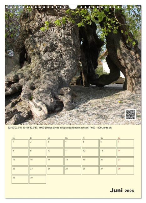 InsideView 11
