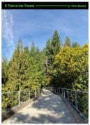 Cover-Bild zum Titel 'A Trek to the Trestle' von 'Mike Bozart'