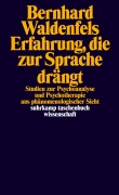 Cover-Bild zum Titel 'Erfahrung, die zur Sprache drängt' von 'Bernhard Waldenfels'