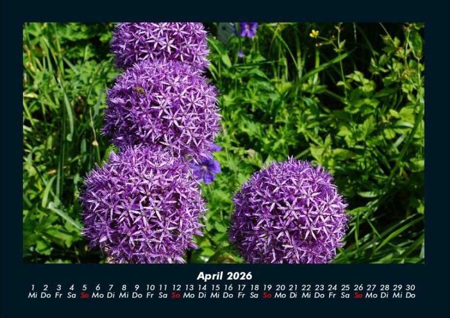 InsideView 8