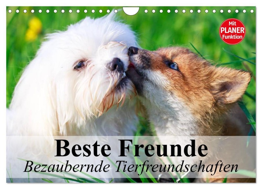 Beste Freunde. Bezaubernde Tierfreundschaften (Wandkalender 2026 DIN A4 quer), CALVENDO Monatskalender - Elisabeth Stanzer