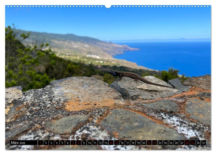 InsideView 7
