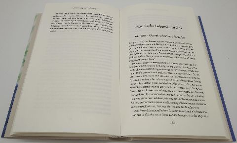 InsideView 6