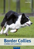 Cover-Bild zum Titel 'Border Collies erziehen und ausbilden' von 'Barbara Sykes'