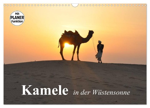 Kamele in der Wüstensonne (Wandkalender 2025 DIN A3 quer), CALVENDO Monatskalender - Elisabeth Stanzer
