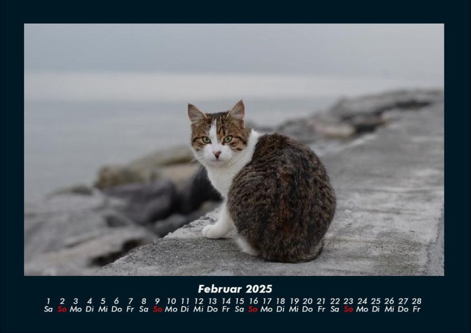 InsideView 6