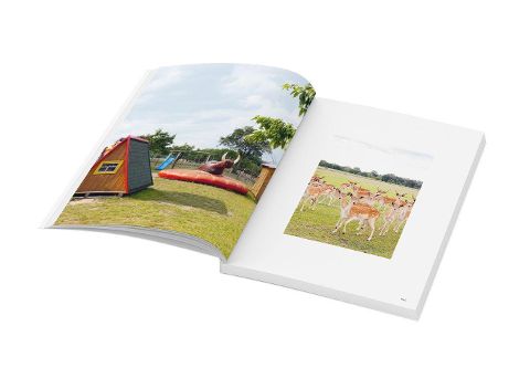 InsideView 4