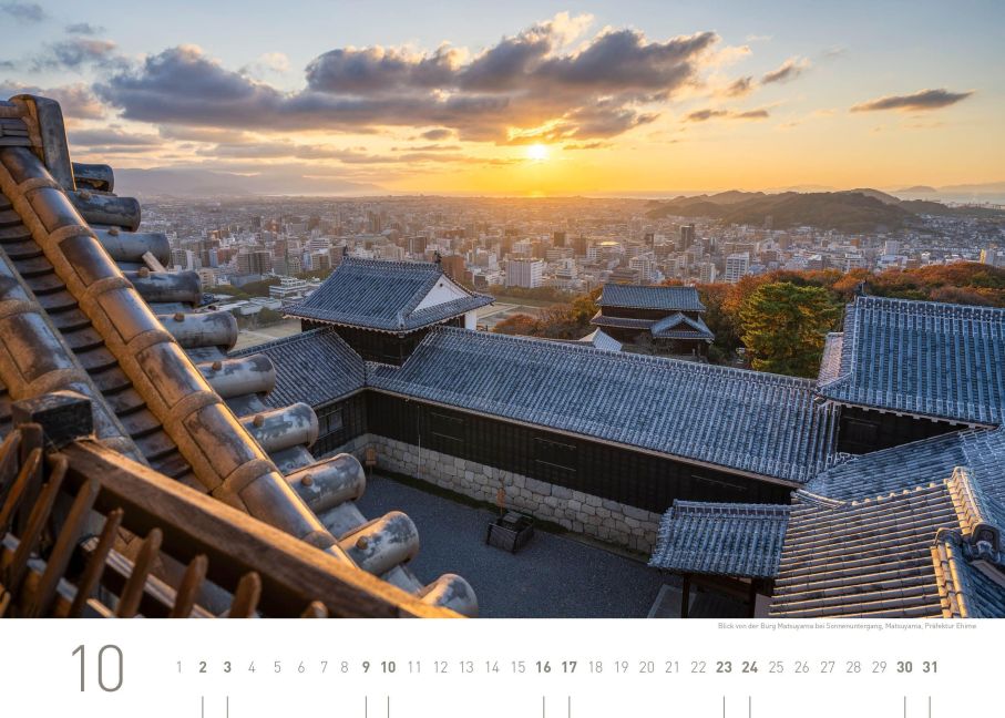InsideView 10