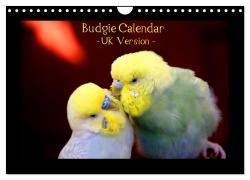 Budgie Calendar - UK Version (Wall Calendar 2026 DIN A4 landscape), CALVENDO 12 Month Wall Calendar - Björn Bergmann