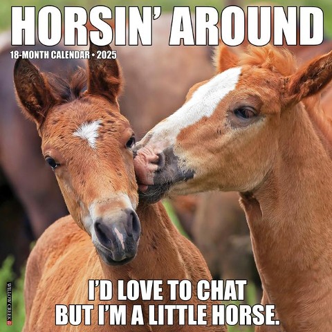 Horsin' Around 2025 12 X 12 Wall Calendar - Willow Creek Press