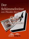 Cover-Bild zum Titel 'Der Schimmelreiter' von 'Theodor Storm'