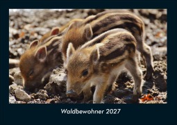 Cover-Bild zum Titel 'Waldbewohner 2027 Fotokalender DIN A4' von 'Tobias Schmitt, Kevin Heber'