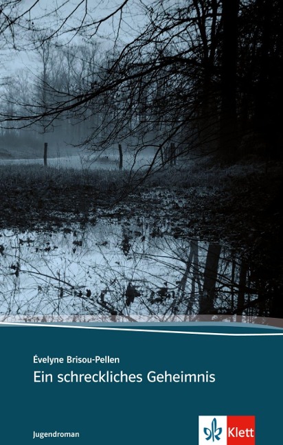 Ein schreckliches Geheimnis - Evelyne Brisou-Pellen